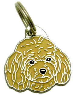 CANICHE TOY APRICOT - Placa grabada, placas identificativas para perros grabadas MjavHov.
